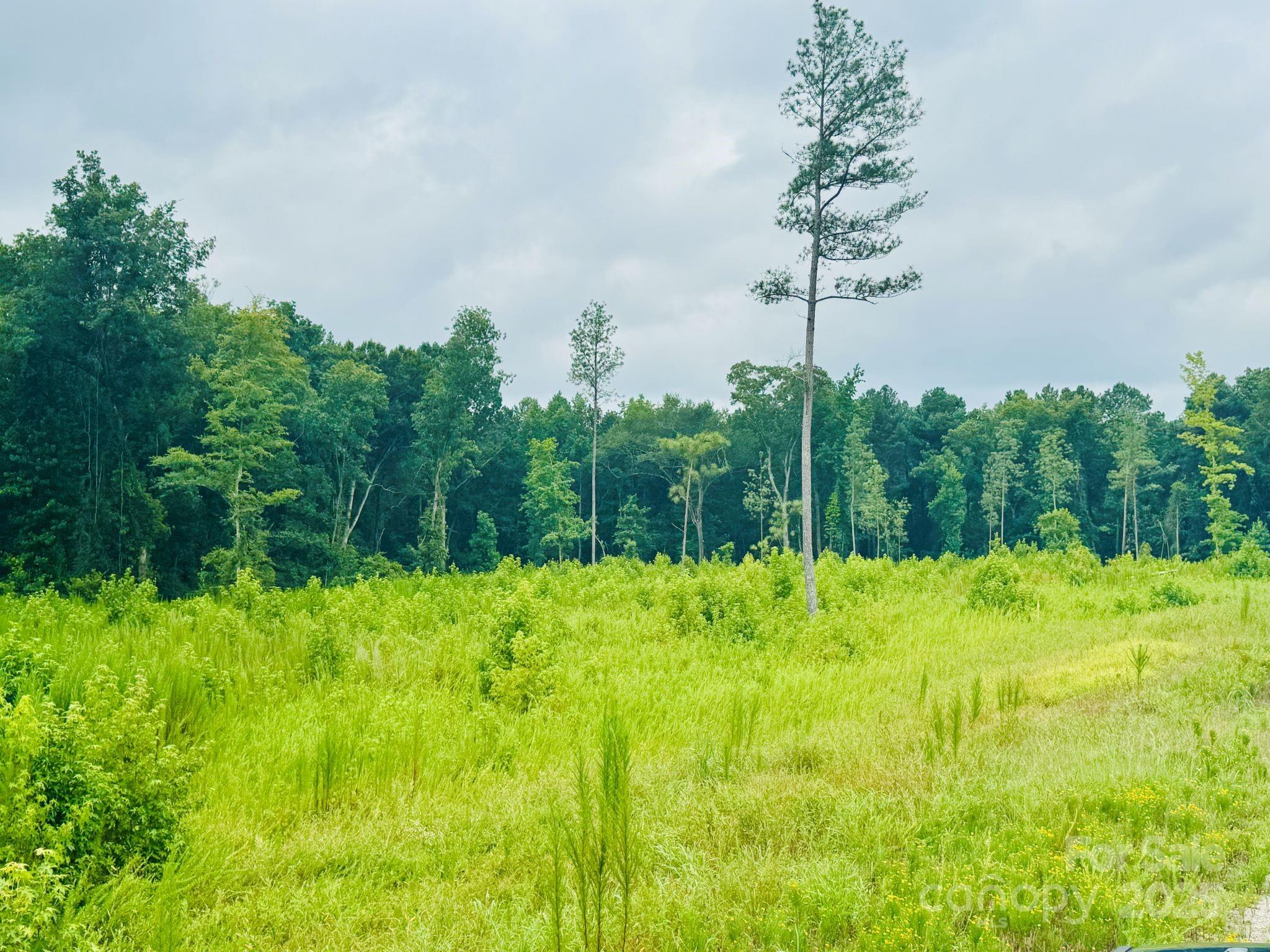 Tract A Tract A Santa Anita Road Cheraw, SC 29520 - Photo 6 of 9 a backyard of a house with lots of green space