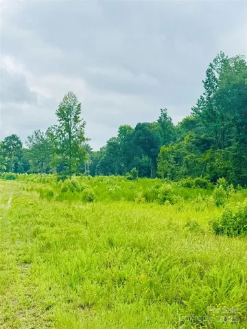 $97,000 | Tract A Tract A Santa Anita Road, Cheraw, SC 29520