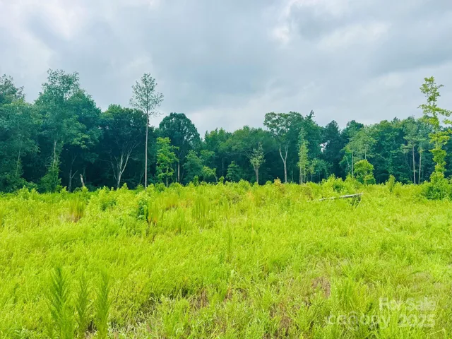 $97,000 | Tract A Tract A Santa Anita Road, Cheraw, SC 29520