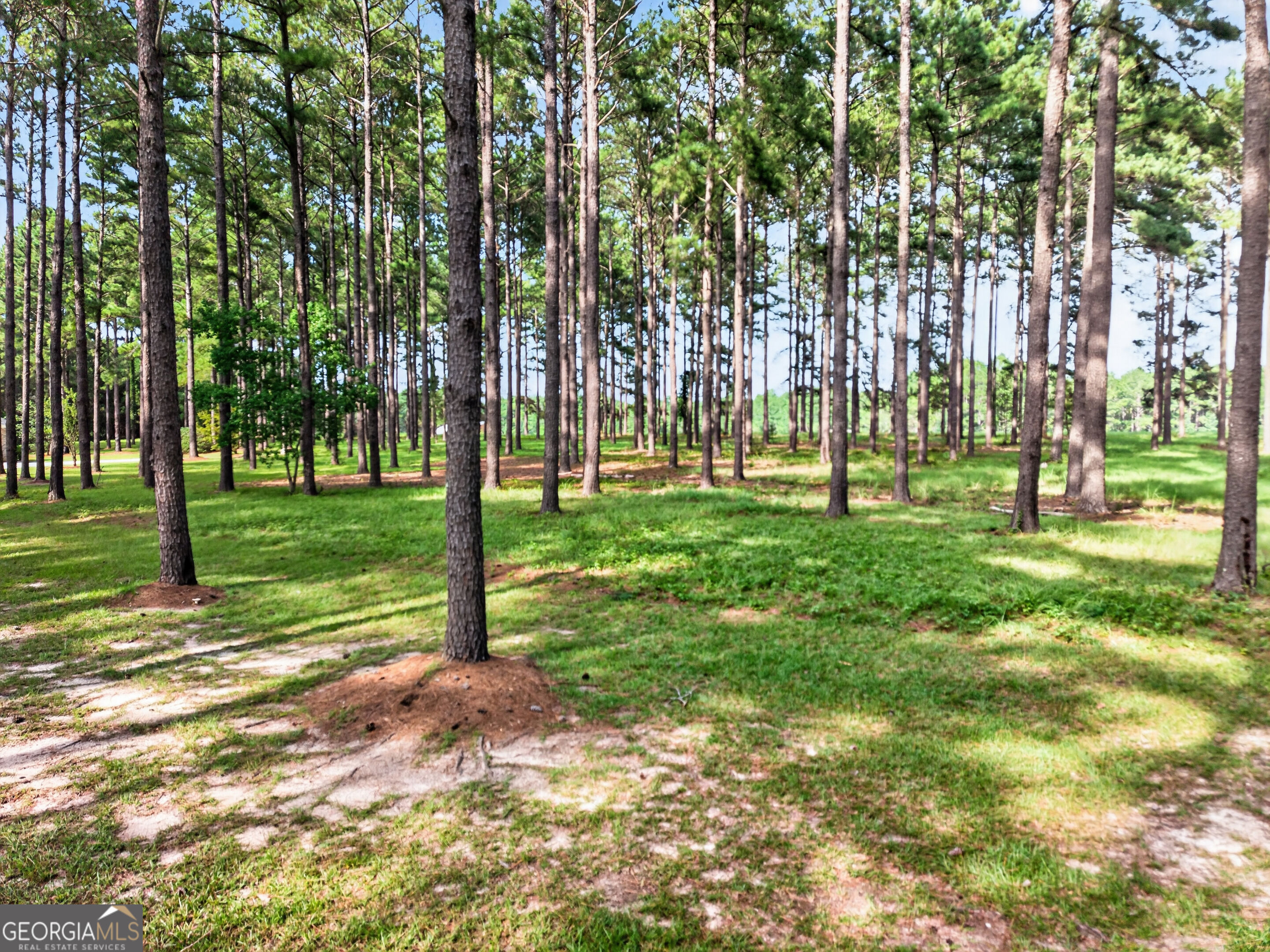 561 Chula Brookfield Road Chula, GA 31733 - Photo 62 of 63 Gallery Image 62