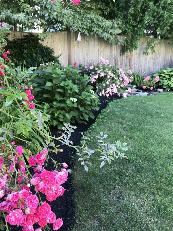 23 Tedesco Street Marblehead, MA 01945 - Photo 37 of 43 a view of a lake view