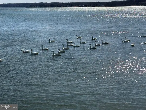 a view of a lake with outdoor space
