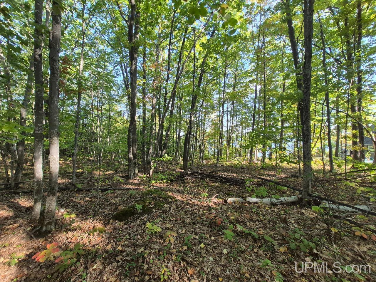 Tbd Tbd D Road Big Bay, MI 49808 - Photo 10 of 21