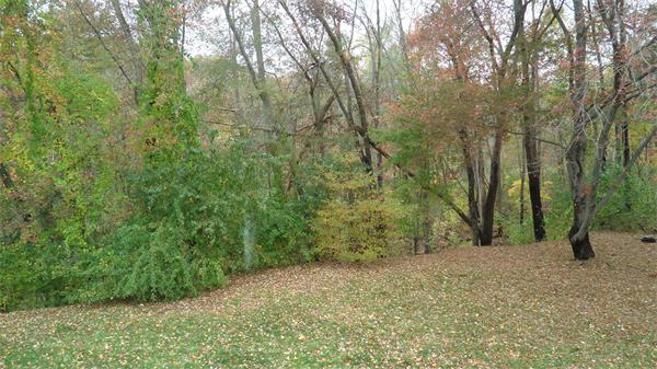 7 Patricia Road Billerica, MA 01821 - Photo 16 of 18 a view of a forest with trees