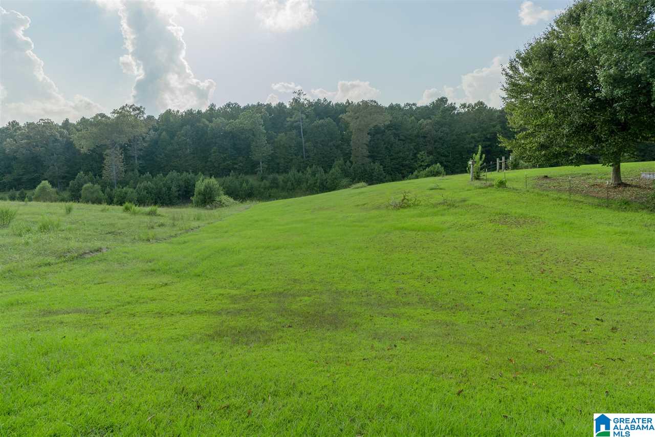 12376 Bama Rock Garden Road Vance, AL 35490 - Photo 42 of 44