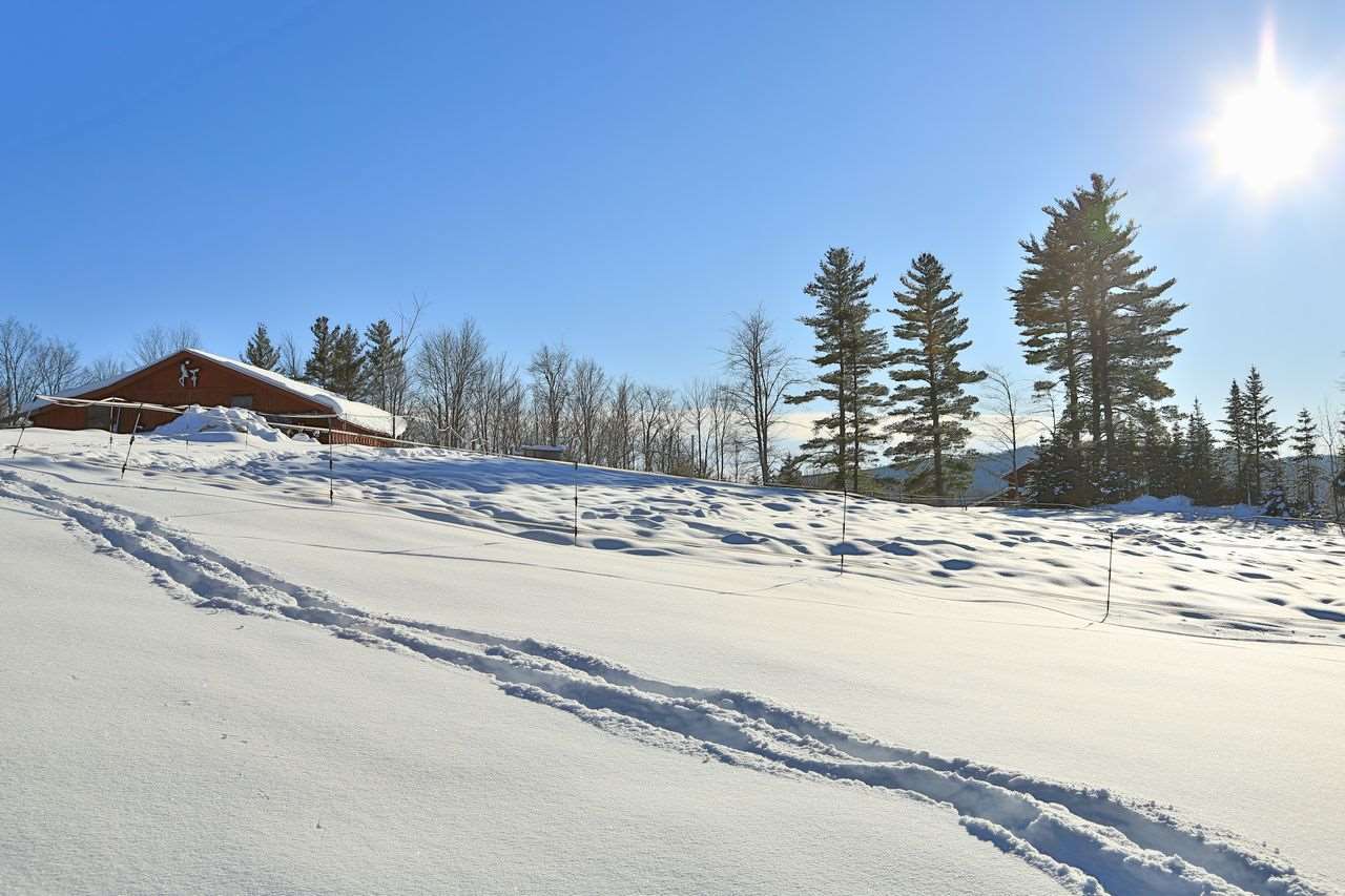295 Goudreault Hill Road Concord, VT 05824 - Photo 26 of 40 Gallery Image 26
