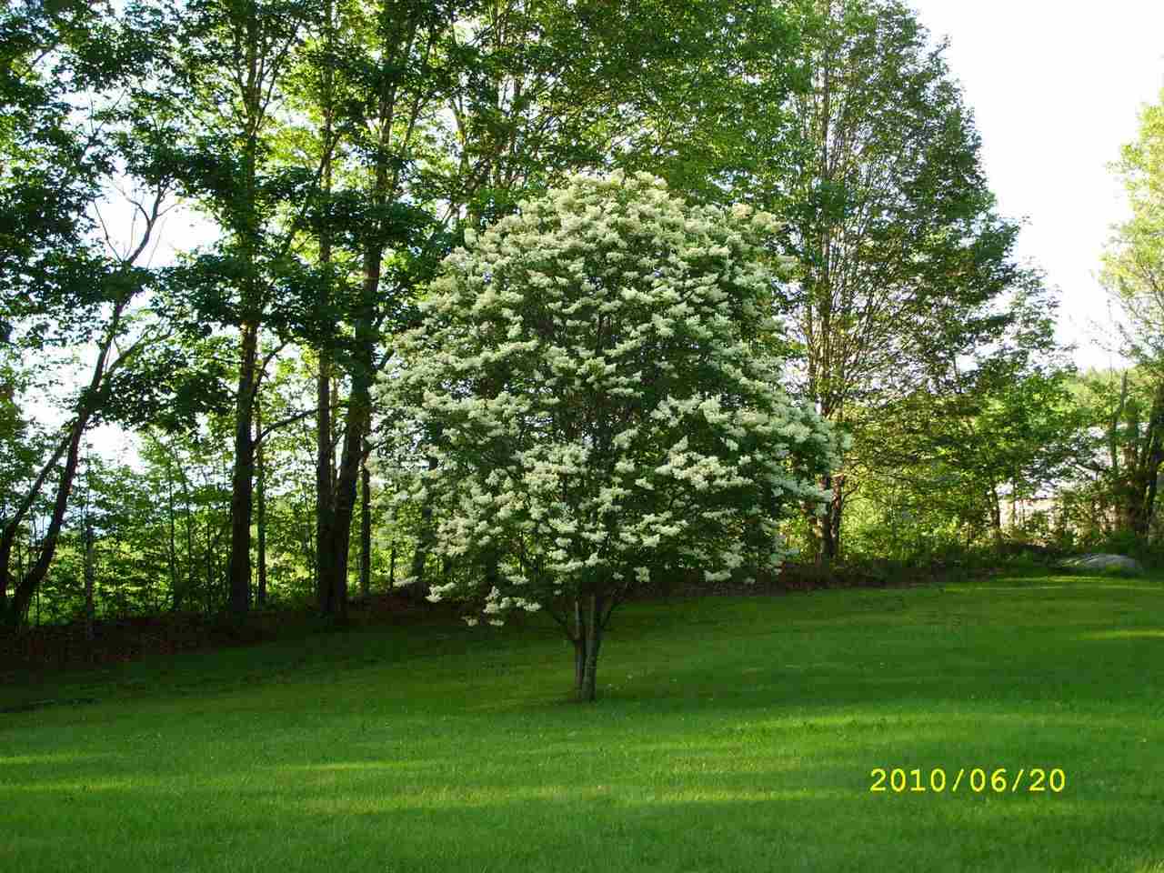 295 Goudreault Hill Road Concord, VT 05824 - Photo 34 of 40 Gallery Image 34