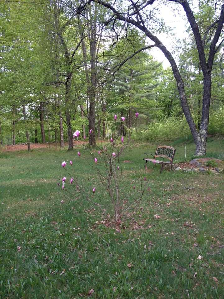 295 Goudreault Hill Road Concord, VT 05824 - Photo 36 of 40 Gallery Image 36