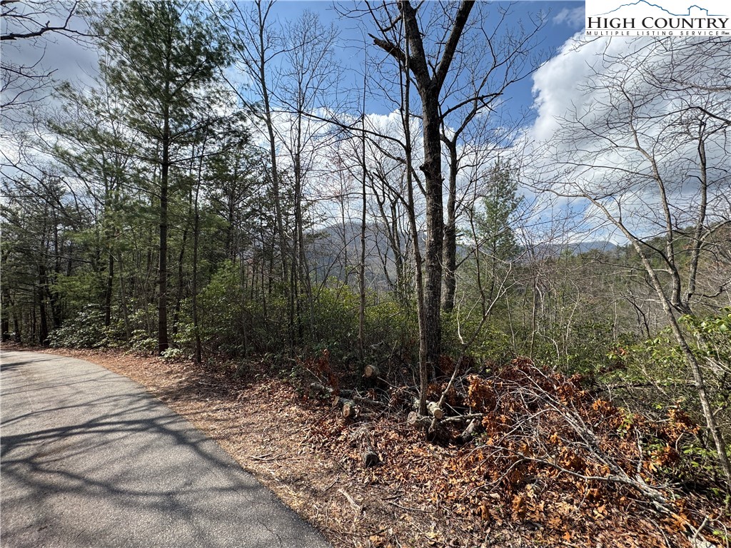 Cherokee Trail Marion, NC 28752 - Photo 3 of 11 a view of a forest filled with trees