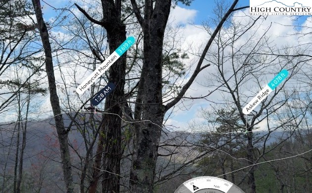 Cherokee Trail Marion, NC 28752 - Photo 4 of 11 a backyard of a house with lots of trees