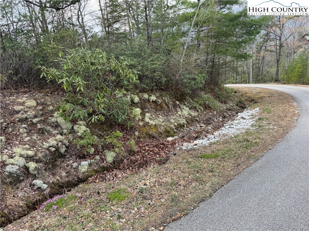 Cherokee Trail Marion, NC 28752 - Photo 7 of 11 a view of a forest filled with trees