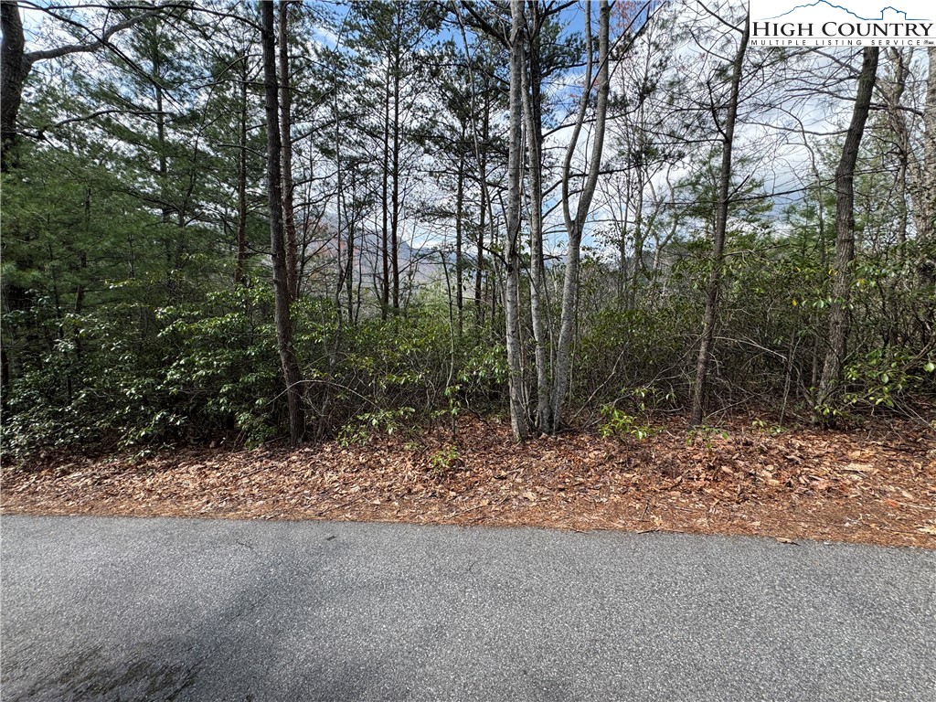 Cherokee Trail Marion, NC 28752 - Photo 8 of 11 a view of a forest filled with trees