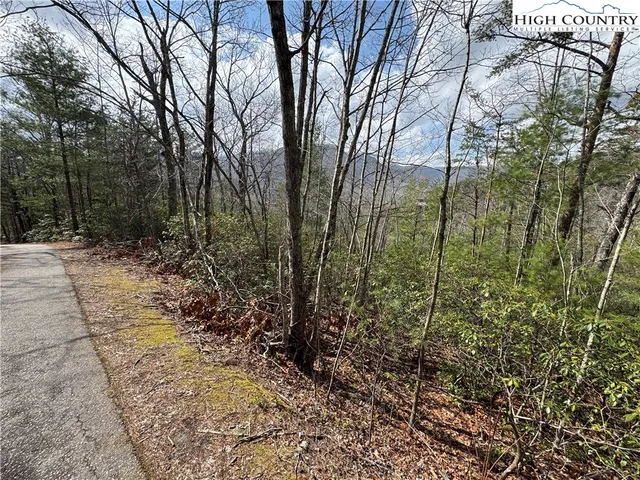 a view of a yard with plants and trees