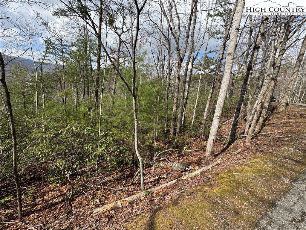 Cherokee Trail Marion, NC 28752 - Photo 10 of 11 a view of a forest