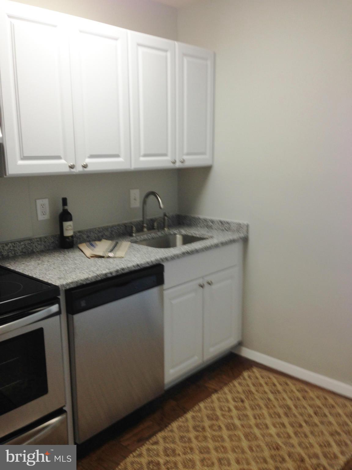 1435 4th Street Southwest, Unit B116 Washington, DC 20024 - Photo 2 of 20 Kitchen