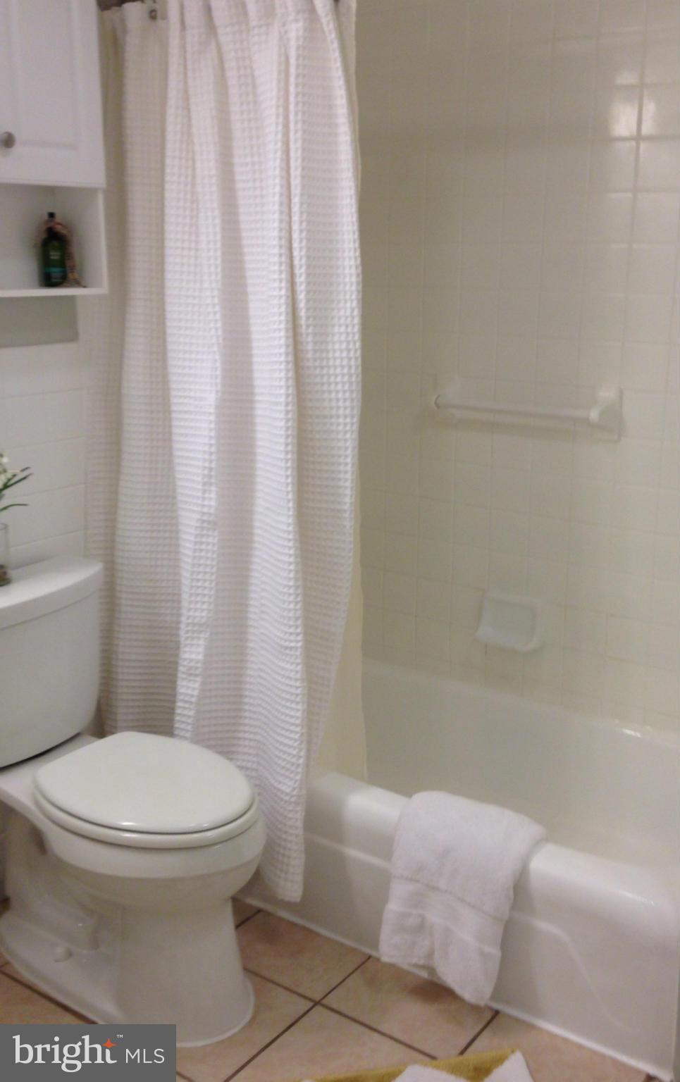 1435 4th Street Southwest, Unit B116 Washington, DC 20024 - Photo 11 of 20 Bath