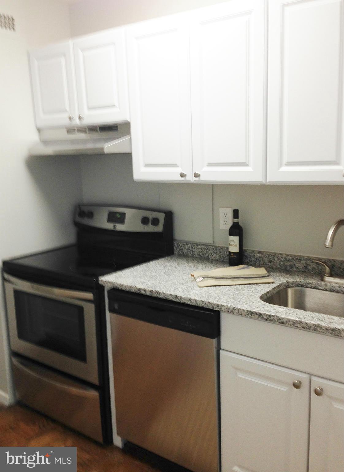 1435 4th Street Southwest, Unit B116 Washington, DC 20024 - Photo 3 of 20 Kitchen