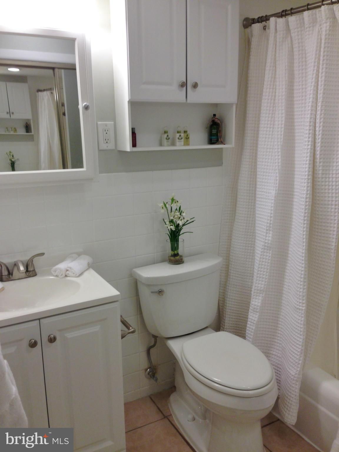 1435 4th Street Southwest, Unit B116 Washington, DC 20024 - Photo 10 of 20 Bath