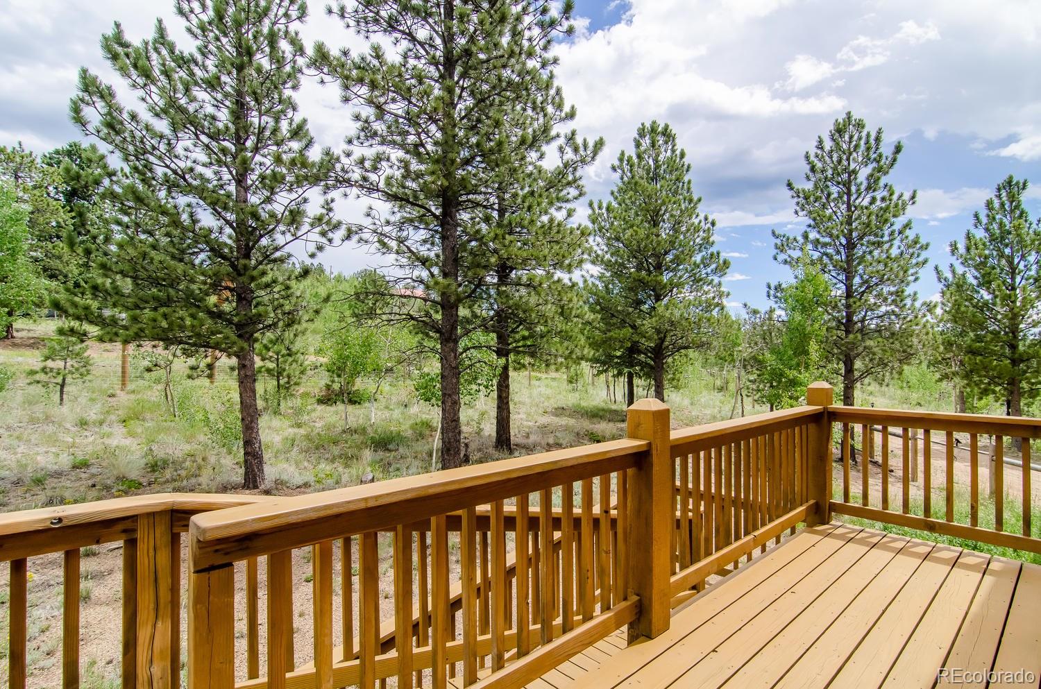 417 Clark Road Bailey, CO 80421 - Photo 33 of 35
