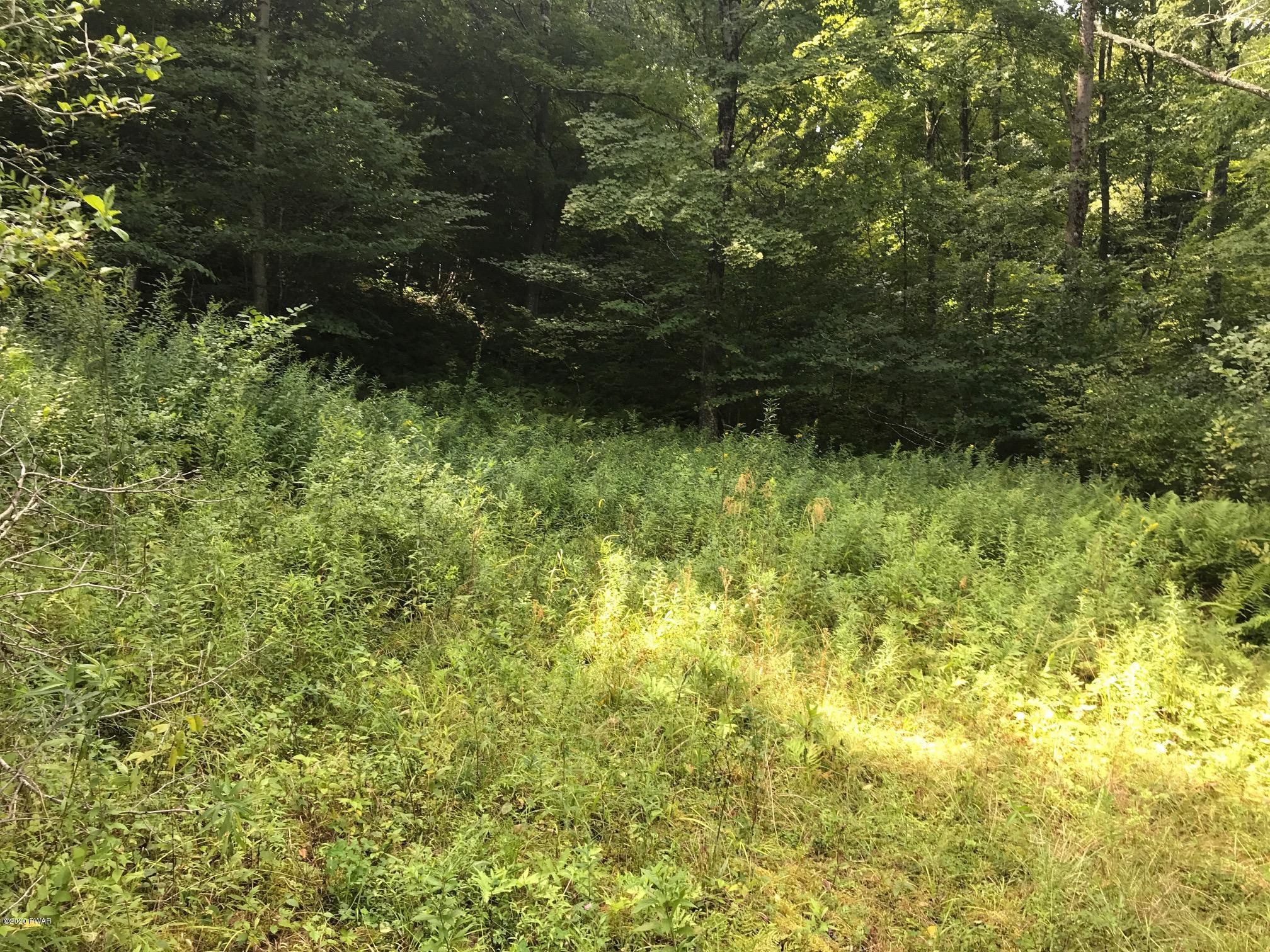 Creek Road Equinunk, PA 18417 - Photo 5 of 9