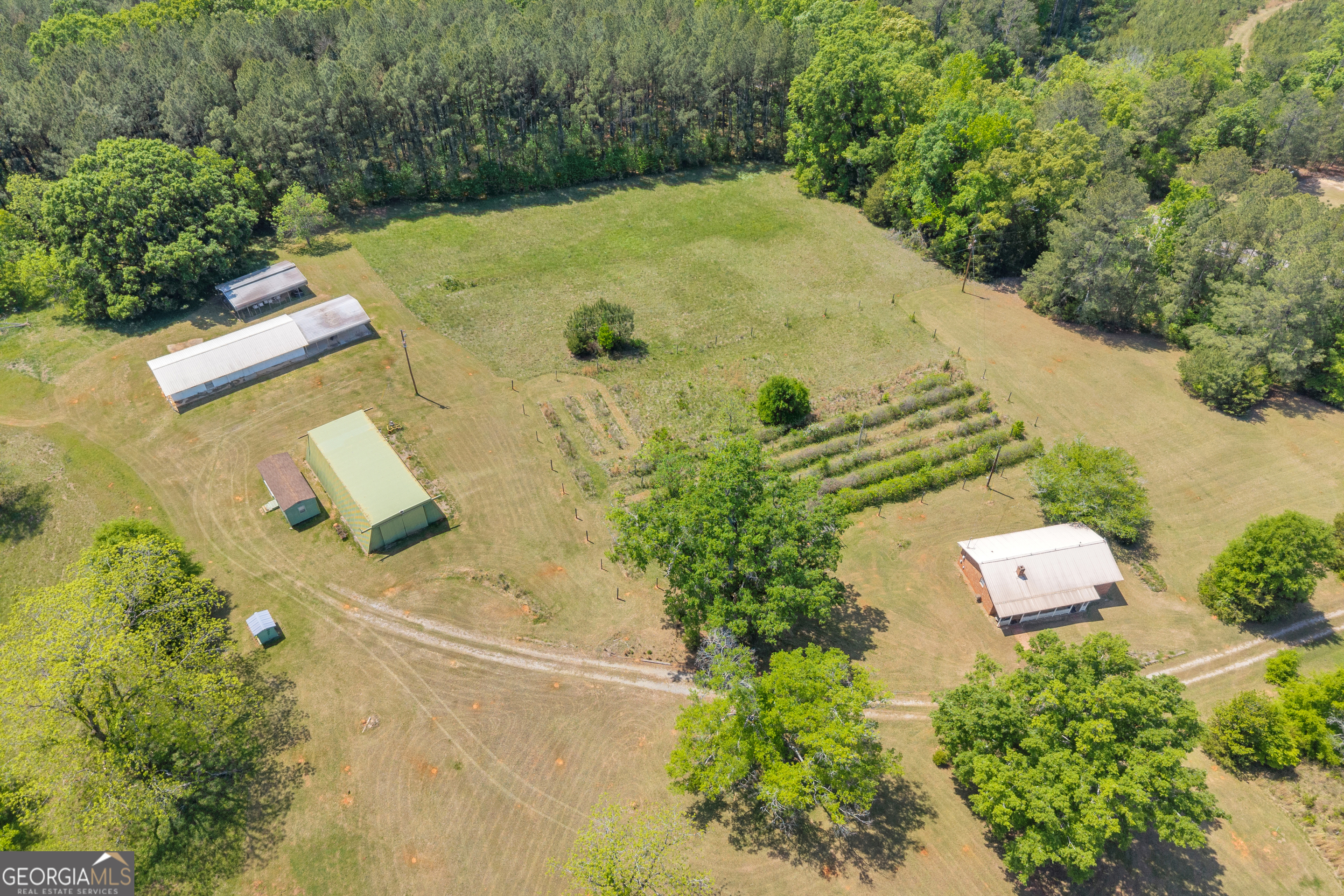 3248 Metasville Road Washington, GA 30673 - Photo 14 of 104 Gallery Image 14