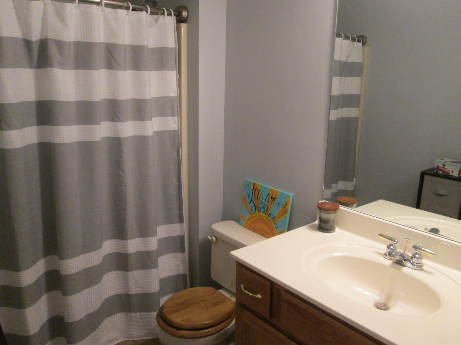 708 3rd Avenue West Springfield, TN 37172 - Photo 19 of 30 a bathroom with a sink a toilet a mirror and shower curtain