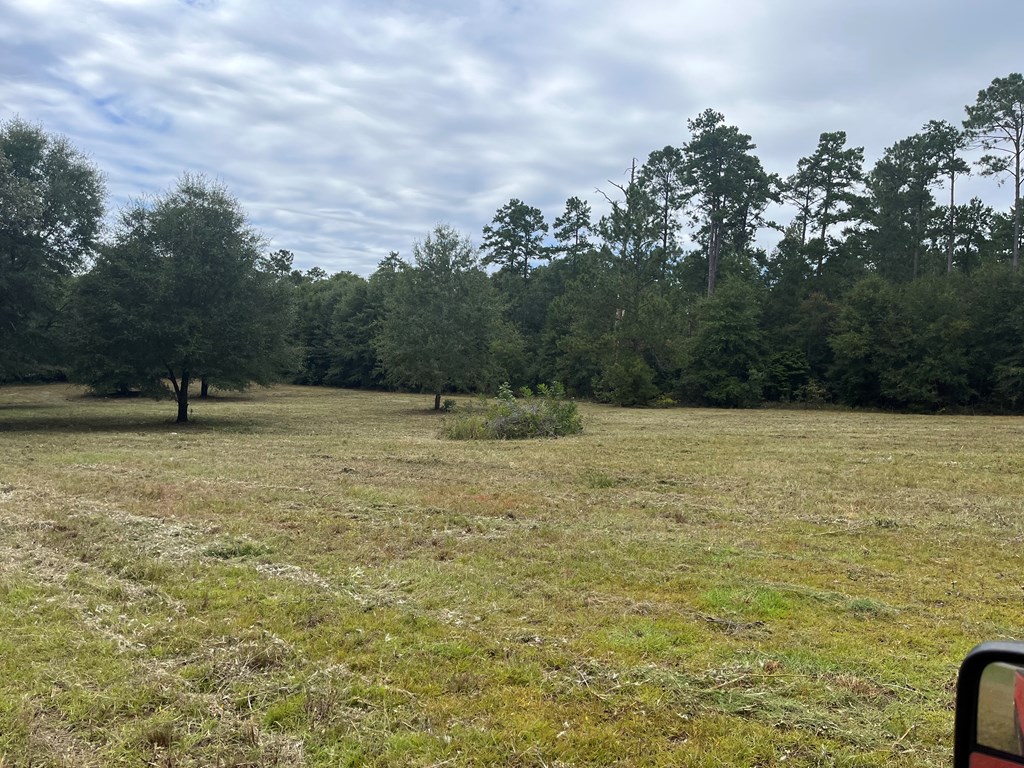 Tbd East Washington Street Abbeville, AL 36310 - Photo 2 of 2