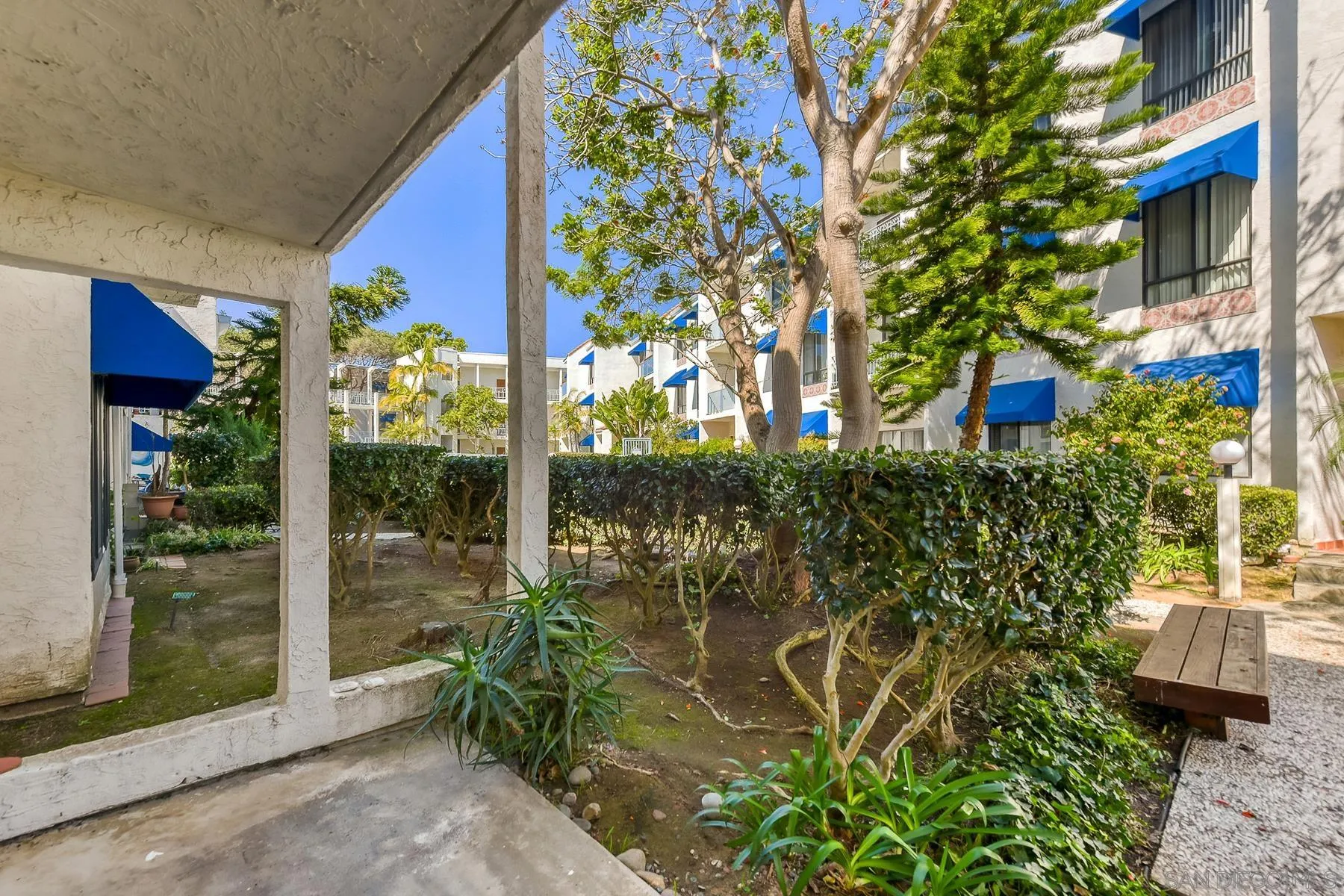 8308 Regents Road, Unit 1H San Diego, CA 92122 - Photo 21 of 23 a view of a garden with plants