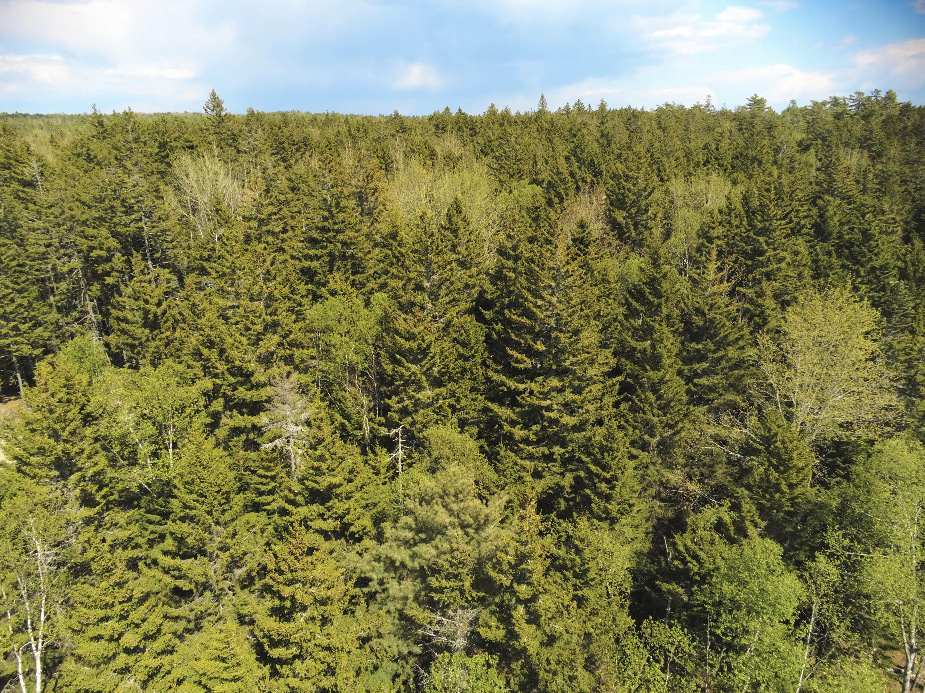 Lot # Noahs Way Friendship, ME 04547 - Photo 8 of 15 15-Martin's Point Road- Friendship-JAC