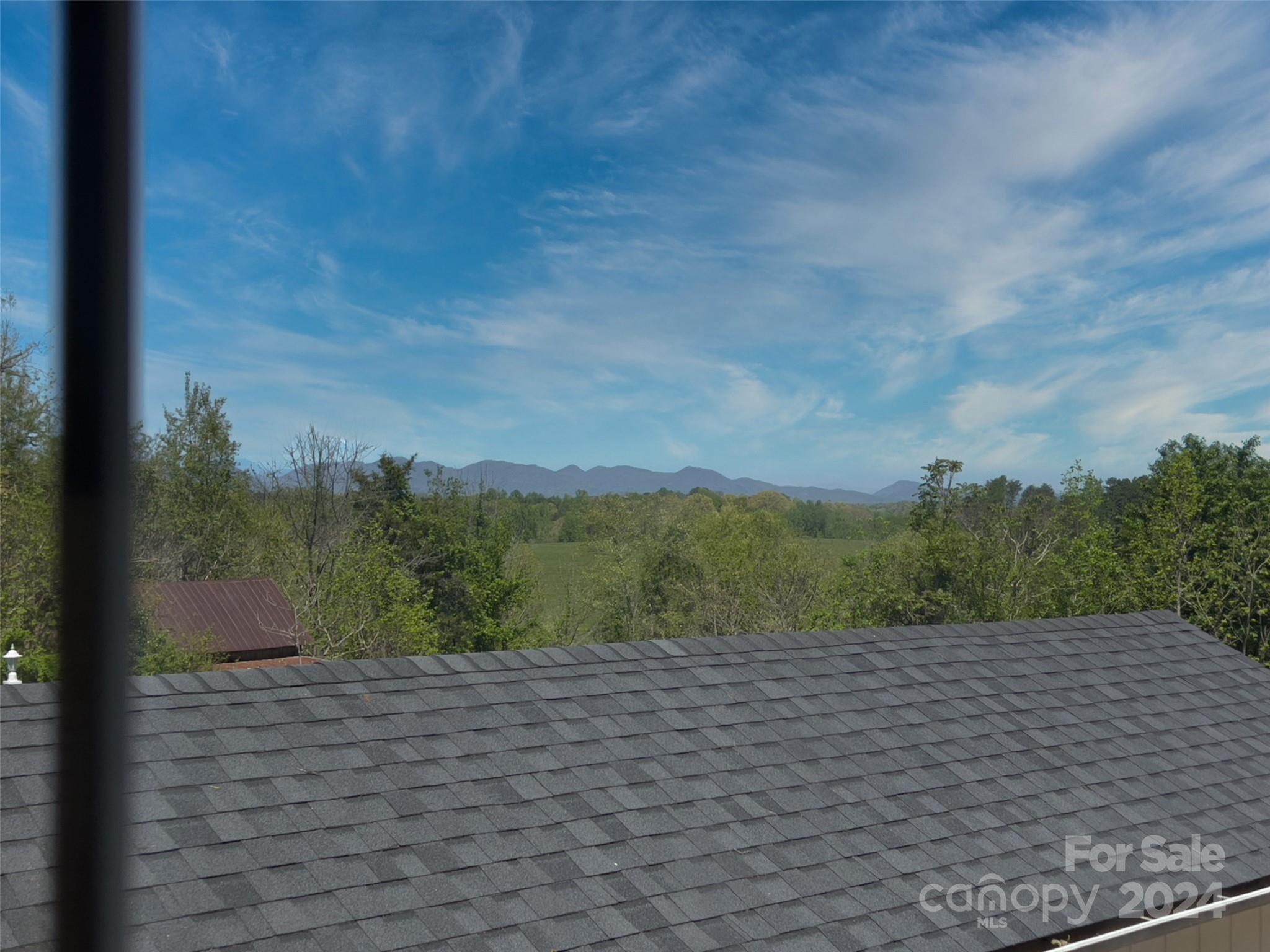 496 Chimney Rock Road Rutherfordton, NC 28139 - Photo 28 of 37 a view of a yard