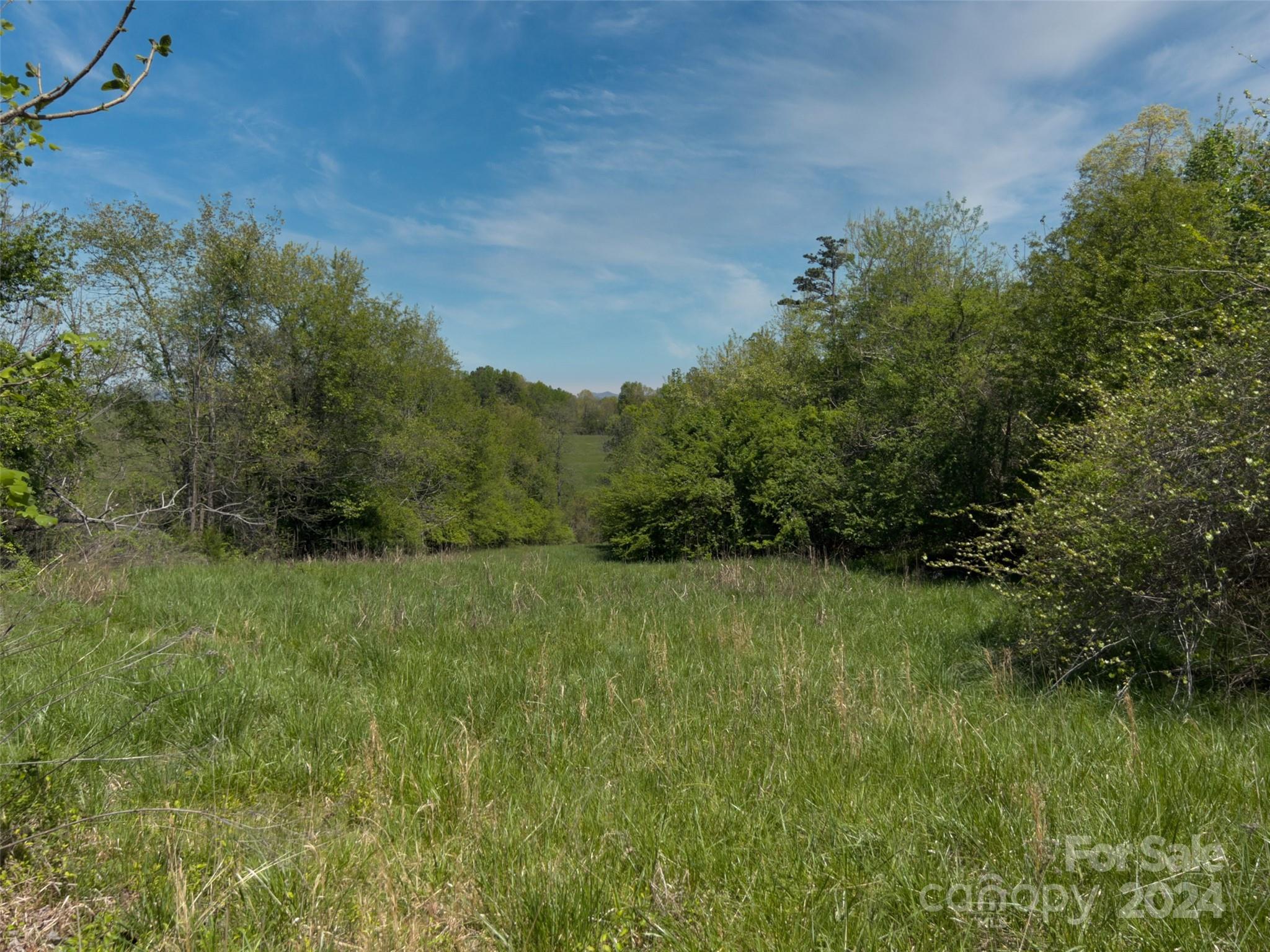 496 Chimney Rock Road Rutherfordton, NC 28139 - Photo 31 of 37 a view of an outdoor space and a yard