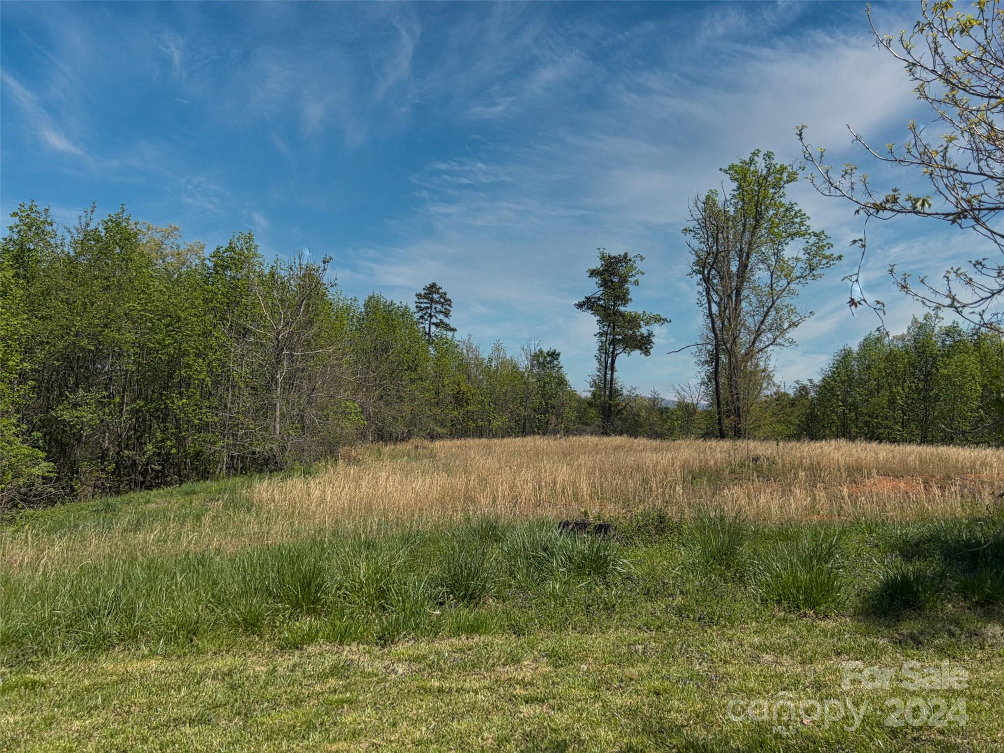 496 Chimney Rock Road Rutherfordton, NC 28139 - Photo 32 of 37 a view of a lake