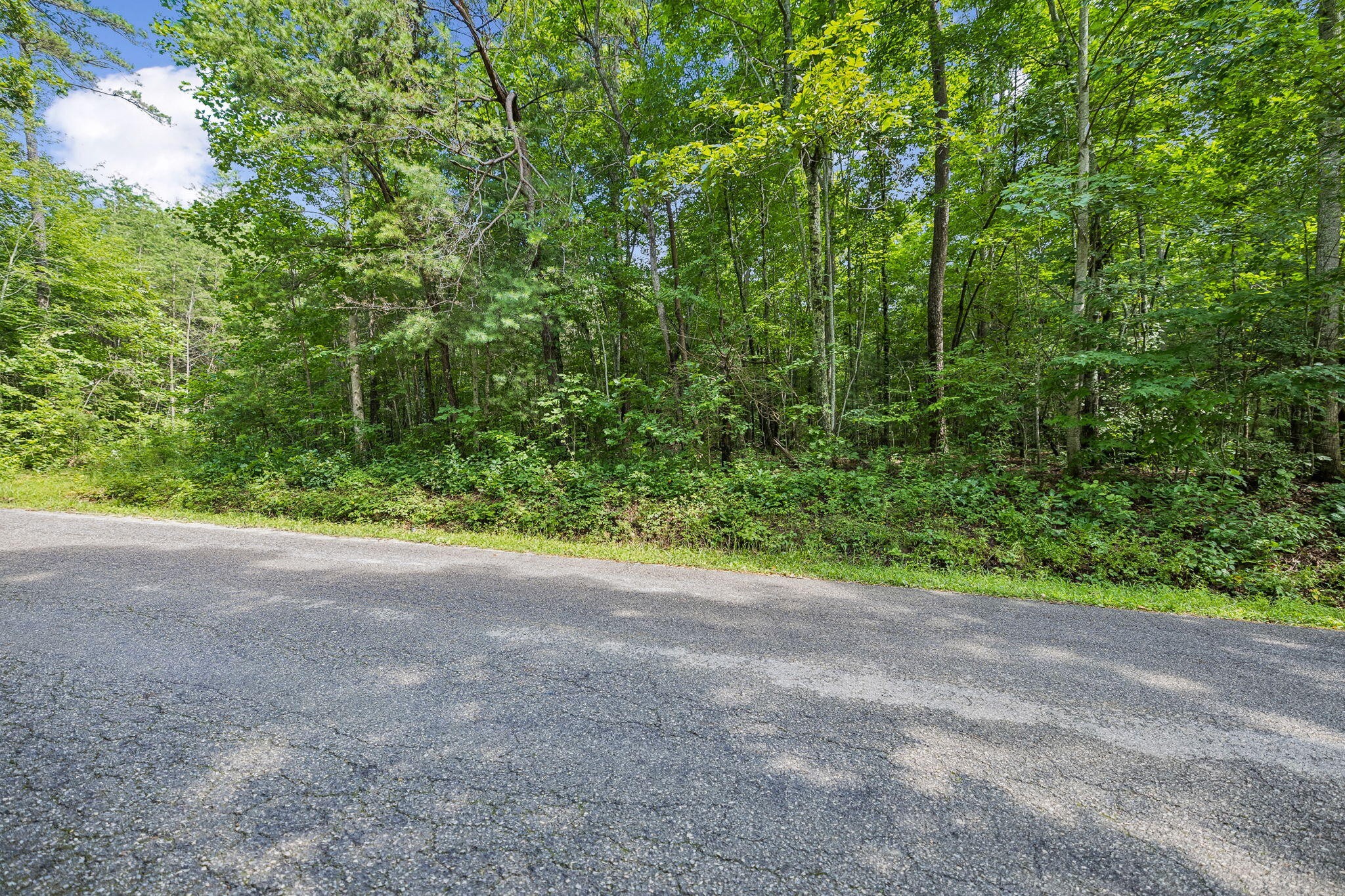 0 Ridge Road Lancing, TN 37770 - Photo 6 of 18