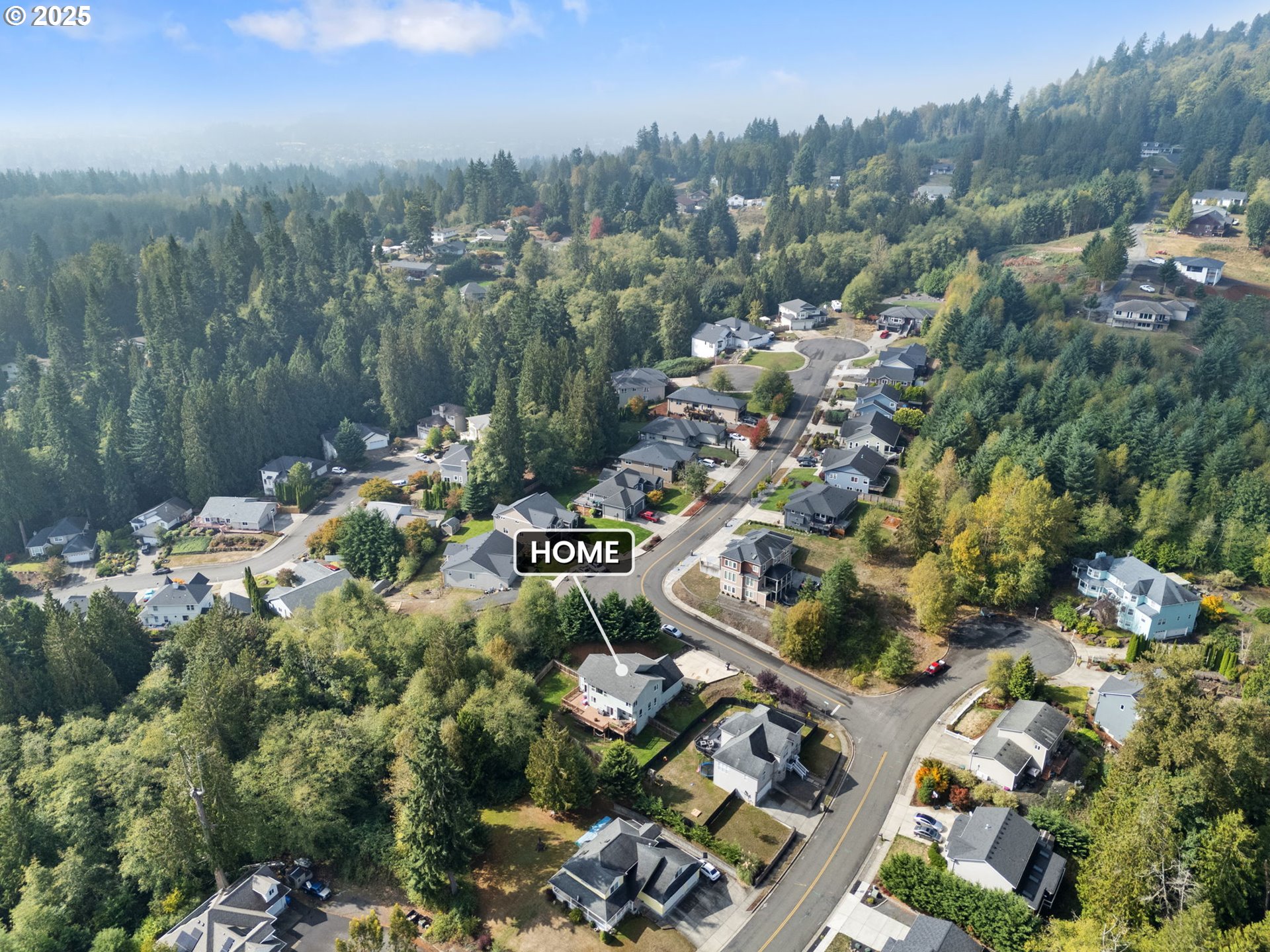 117 Altavista Road Longview, WA 98632 - Photo 37 of 40 a view of a lake with a mountain