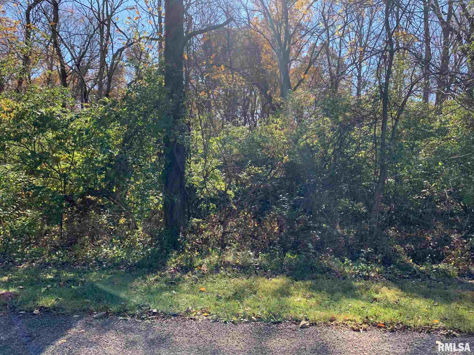 3 Exeter Road Mackinaw, IL 61755 - Photo 1 of 1