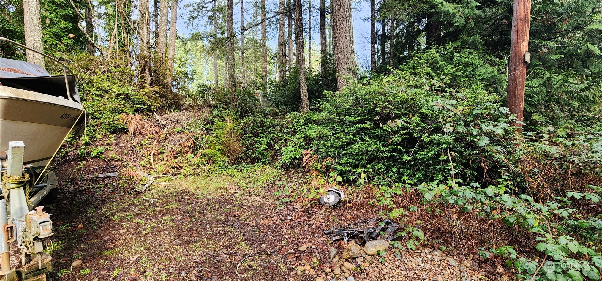 91 Maple Street Quilcene, WA 98376 - Photo 14 of 14 a plant view in yard