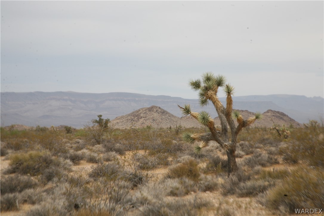 245-18-266 Alan Road Yucca, AZ 86438 - Photo 25 of 54