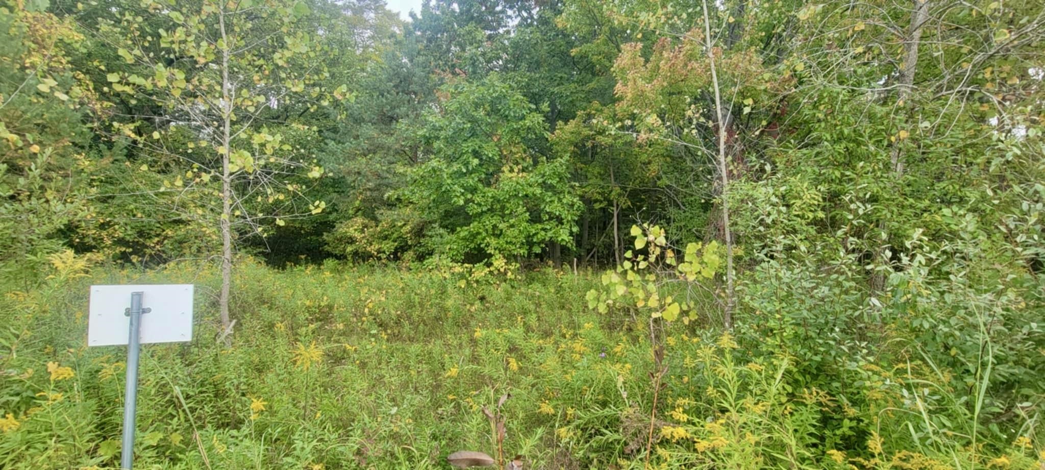 0 West Midland Road Midland, MI 48642 - Photo 6 of 8