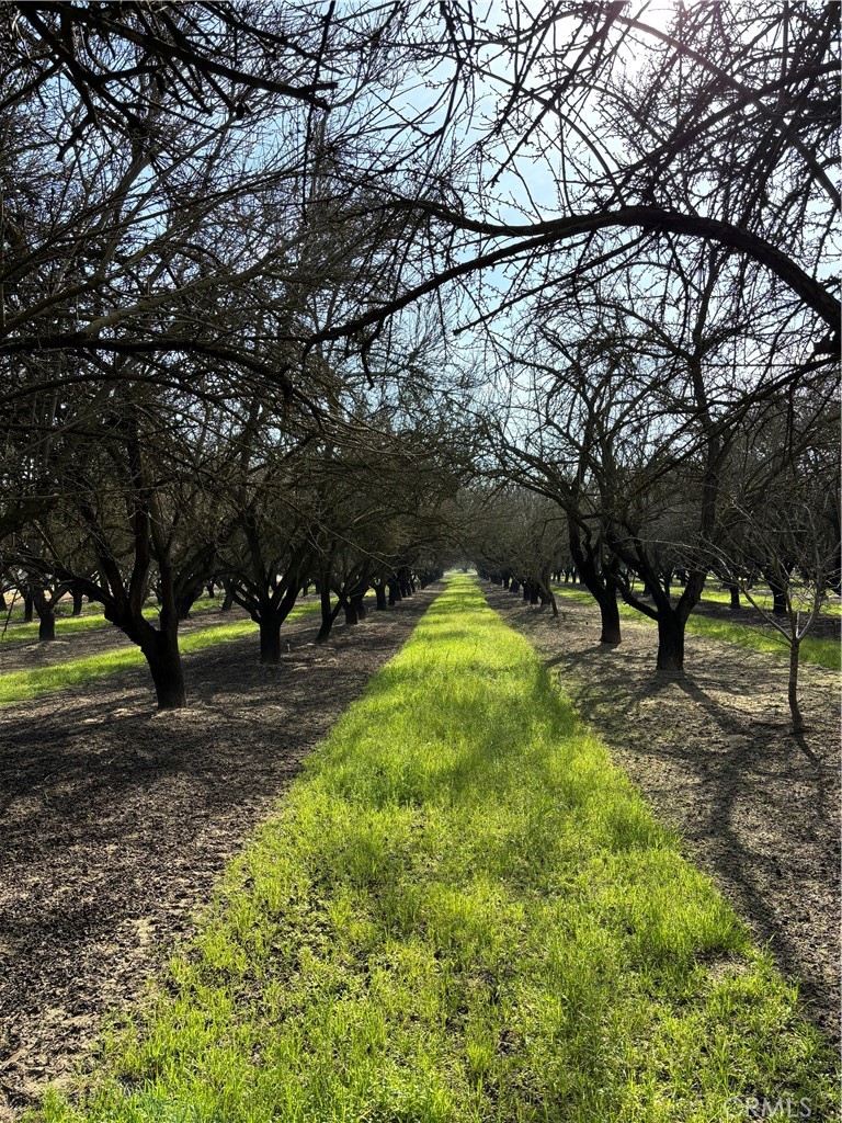 0 August Delhi, CA 95315 - Photo 27 of 29