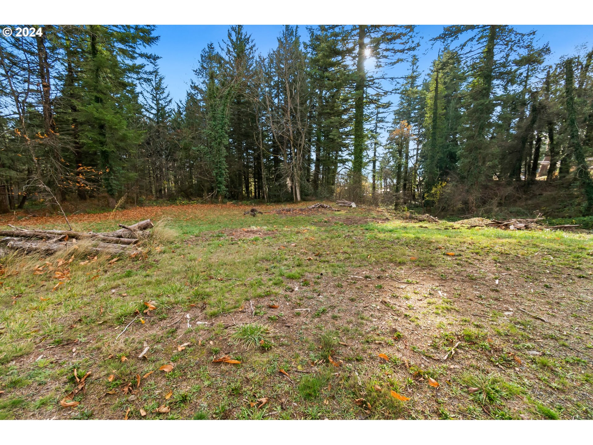 0 Northwest School (lot 2 Land) Road, Unit 2 Stevenson, WA 98648 - Photo 15 of 17