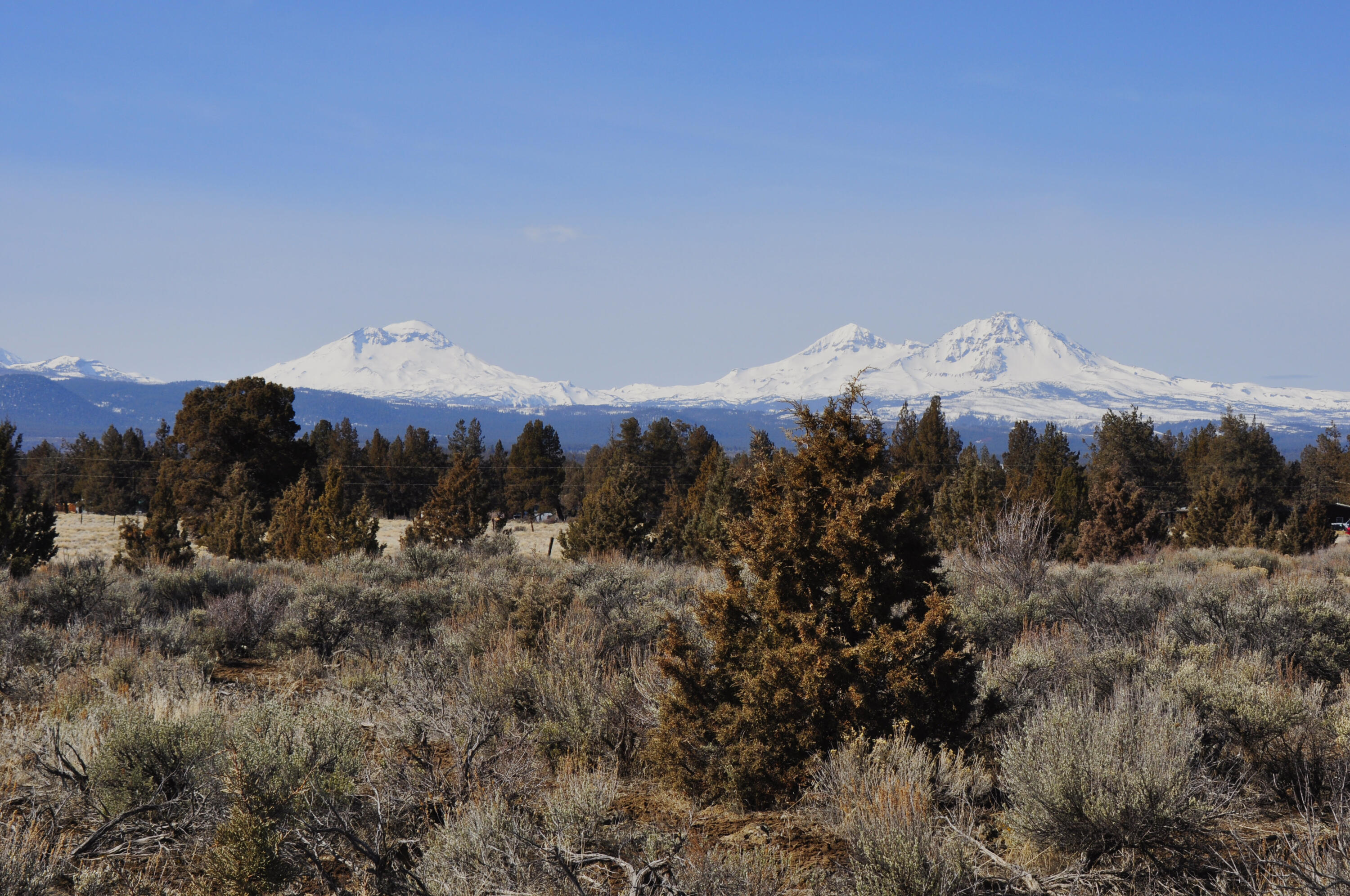 67100 Fryrear Road Bend, OR 97703 - Photo 1 of 38 a view of a mountain in the distance in a field
