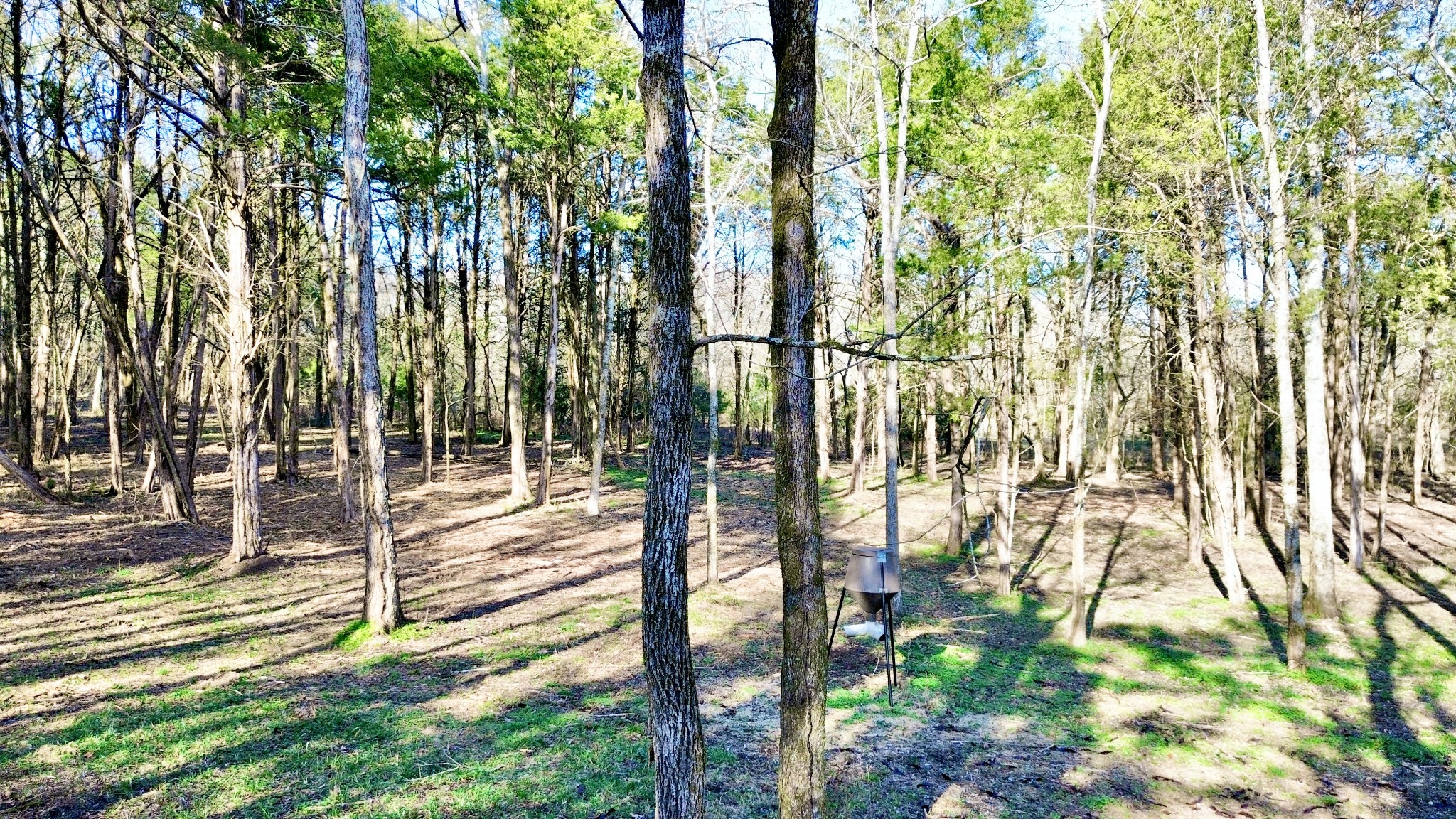 8649 Taliaferro Road Eagleville, TN 37060 - Photo 11 of 23