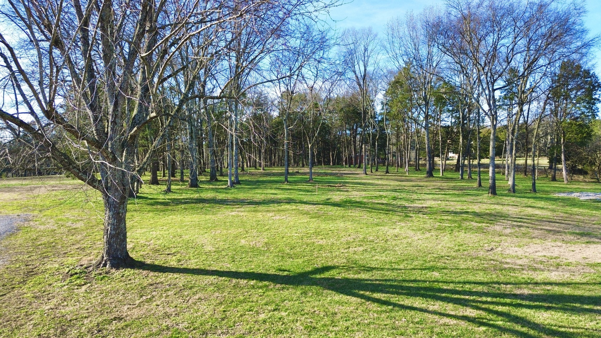 8649 Taliaferro Road Eagleville, TN 37060 - Photo 6 of 23