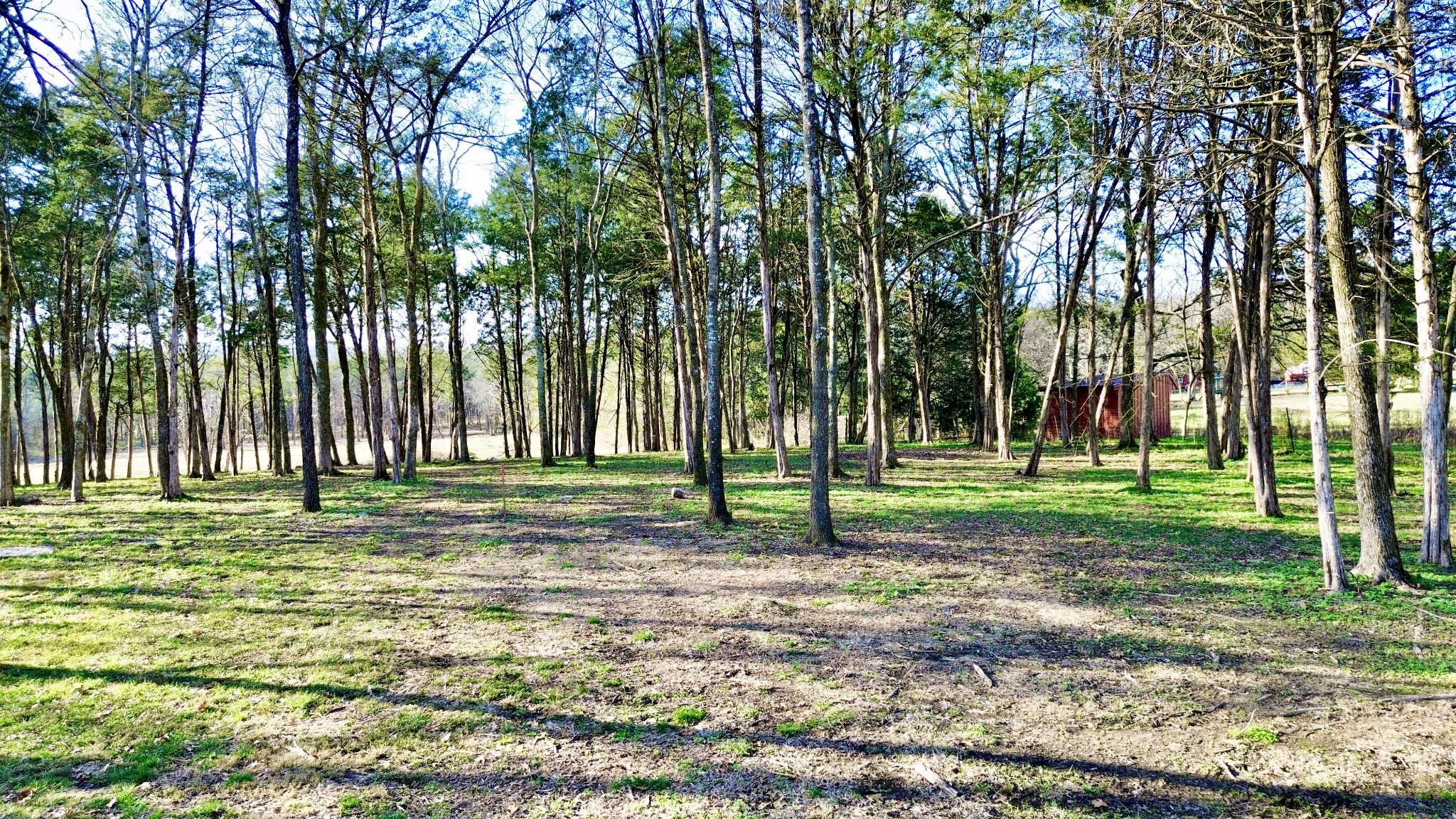 8649 Taliaferro Road Eagleville, TN 37060 - Photo 8 of 23