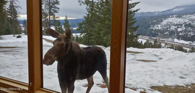 $1,395,000 | 325 Wambli Wahohpi, Cocolalla, ID 83813