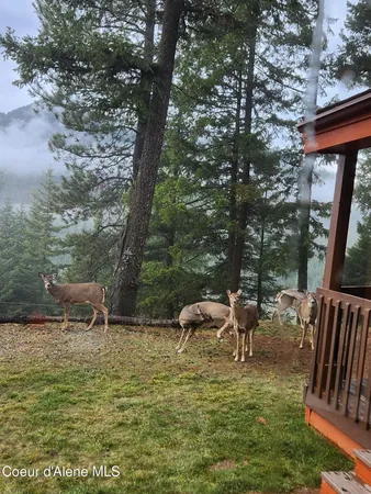 $1,395,000 | 325 Wambli Wahohpi, Cocolalla, ID 83813