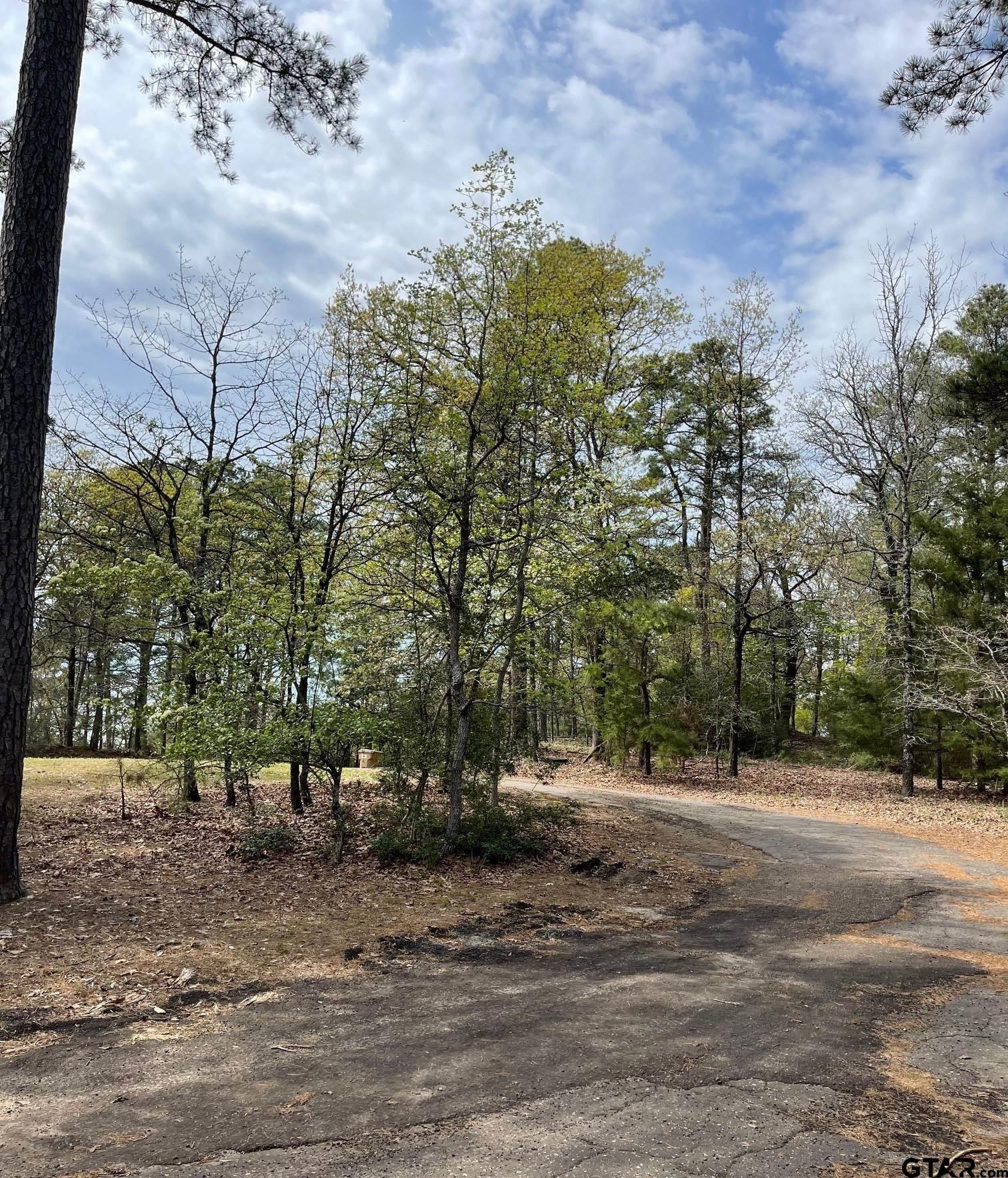 Tbd Winding Trail Holly Lake Ranch, TX 75765 - Photo 11 of 26 a view of road with trees
