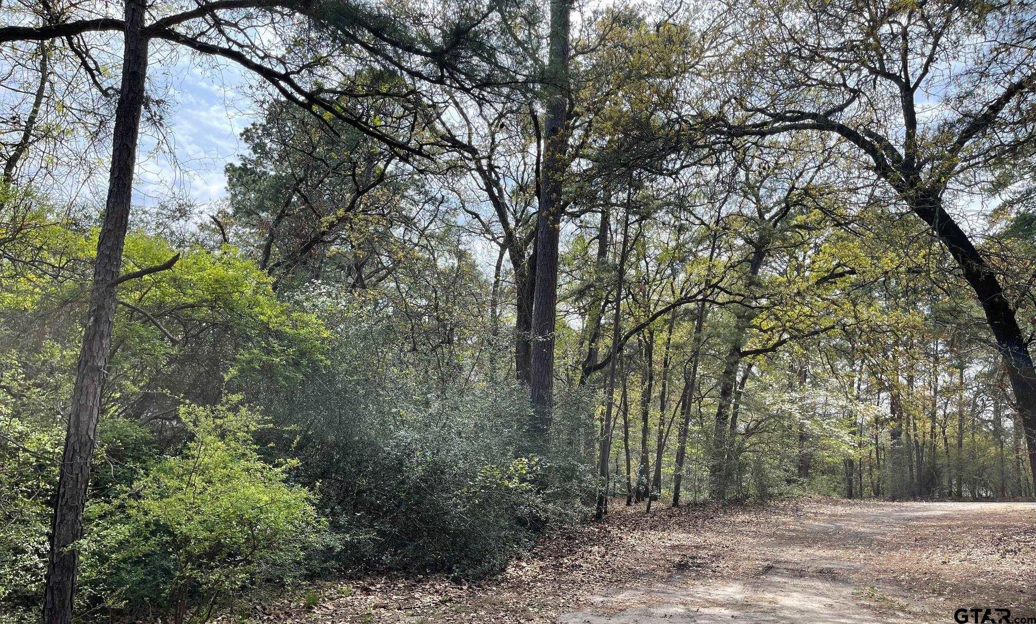 Tbd Winding Trail Holly Lake Ranch, TX 75765 - Photo 12 of 26 a view of a forest filled with trees