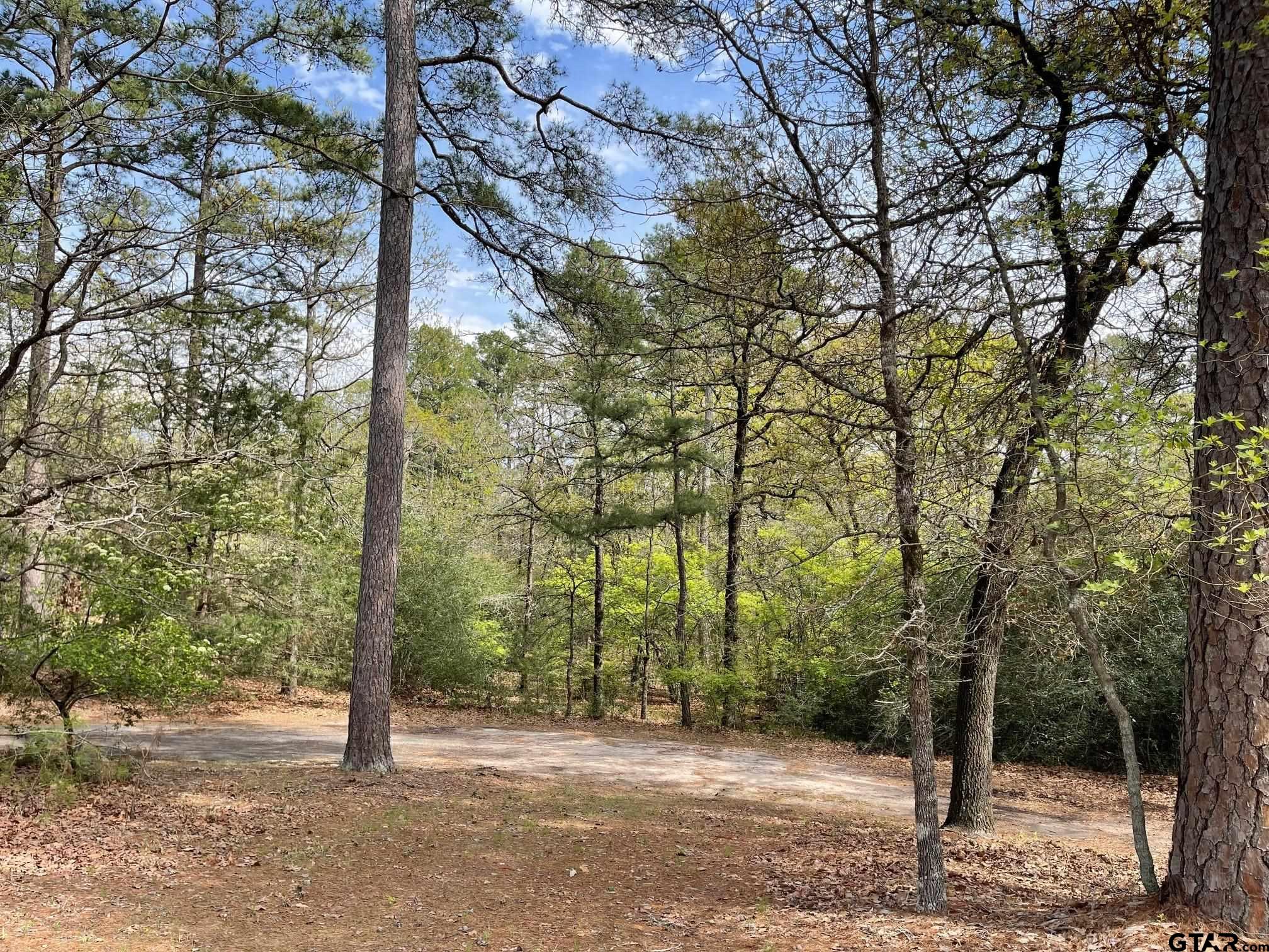 Tbd Winding Trail Holly Lake Ranch, TX 75765 - Photo 14 of 26 a backyard of a house with lots of trees