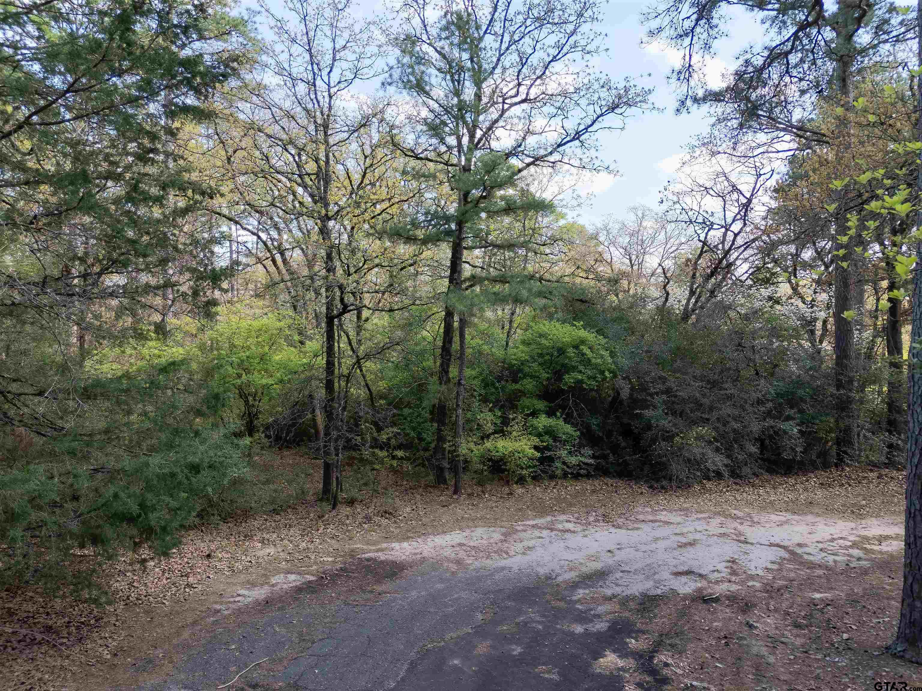 Tbd Winding Trail Holly Lake Ranch, TX 75765 - Photo 3 of 26 a view of a forest with trees in the background